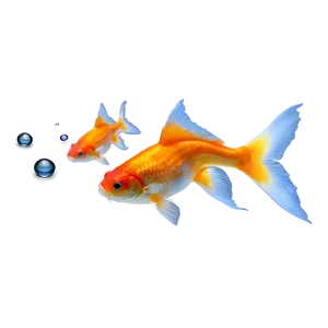 Goldfish In Motion PNG Mrs34 PNG