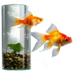 Goldfish In Motion Png Xyu PNG image