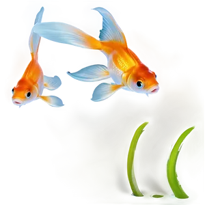 Goldfish Jumping Png 78 PNG image