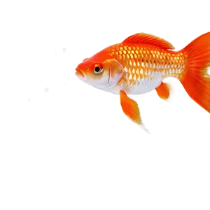 Goldfish Scales PNG 05212024
