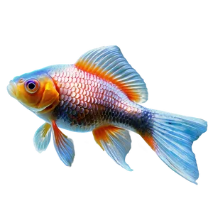 Goldfish Scales PNG 05212024