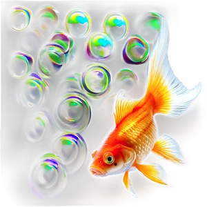 Goldfish Side View PNG 24