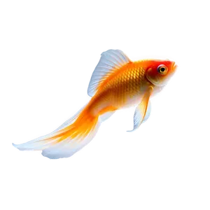 Goldfish Silhouette PNG Tcs6 PNG