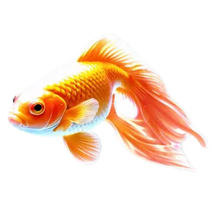 Goldfish Sketch PNG 05212024