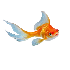 Goldfish Swimming PNG 82