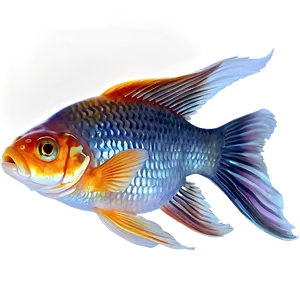 Goldfish Tail Png 05212024 PNG image