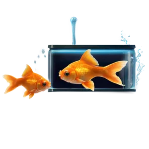 Goldfish Tank Png 10 PNG image