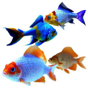 Goldfish Tank PNG Liu38