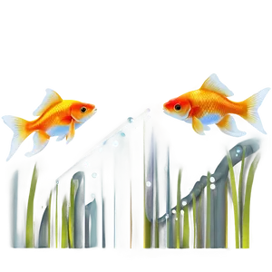Goldfish Vector PNG Vdy97