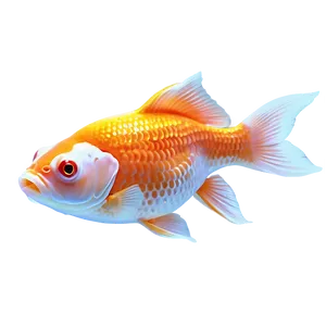 Goldfish Vector PNG Xxg71
