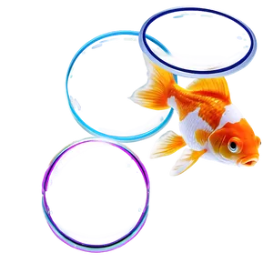 Goldfish With Bubbles PNG 05212024
