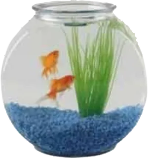Goldfishin Bowlwith Plant