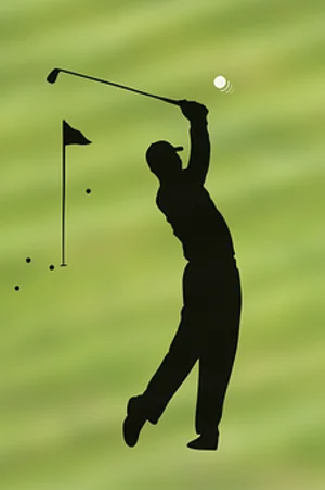 Golfer Silhouette Swing