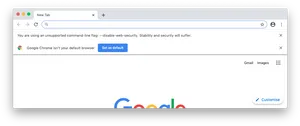 Google Chrome Unsupported Command Line Flag Warning PNG