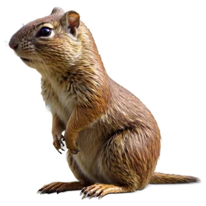 Gopher Field Guide PNG 06292024