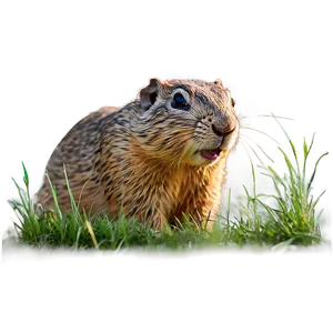 Gopher In Grassland Scene Png 06292024 PNG image