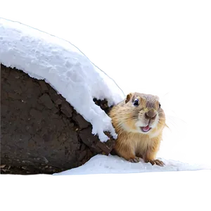 Gopher In Snow Scene PNG Kyt
