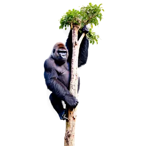 Gorilla Climbing Tree Png 69 PNG image