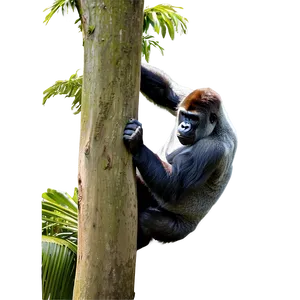 Gorilla Climbing Tree Png Gbo31 PNG image