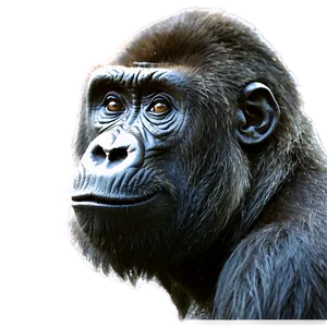 Gorilla Conservation Icon Png 4 PNG image