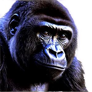 Gorilla Conservation Icon Png 54 PNG image