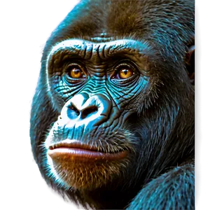Gorilla Monkey Face Comparison PNG 06272024