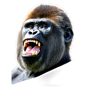 Gorilla Roaring Loudly Png 42 PNG image