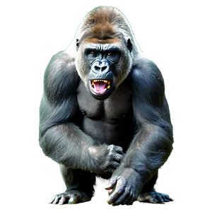 Gorilla Showing Aggression PNG 87 PNG
