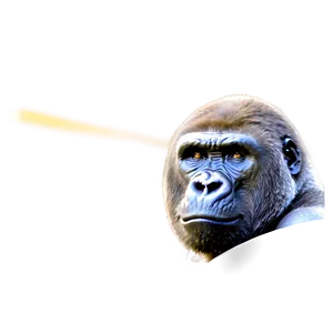 Gorilla Showing Fury PNG 06252024 PNG
