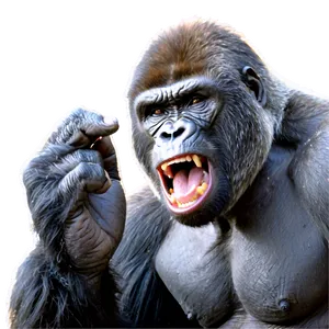 Gorilla Showing Fury PNG Dmj65 PNG