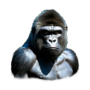 Gorilla With Angry Eyes PNG 06252024