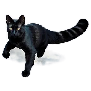 Goth Cat Filter PNG 06282024 PNG