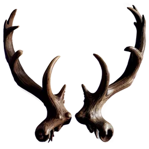 Gothic Antler Artwork PNG Oye PNG