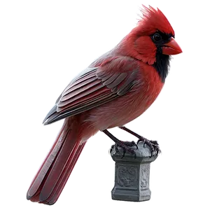 Gothic Cardinal Image PNG 06252024