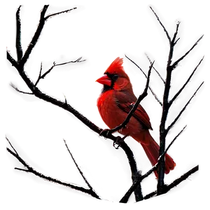 Gothic Cardinal Image Png 94 PNG image