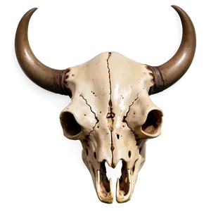 Gothic Cow Skull PNG Srf