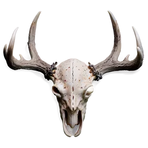 Gothic Deer Antler Aesthetic PNG Fli PNG