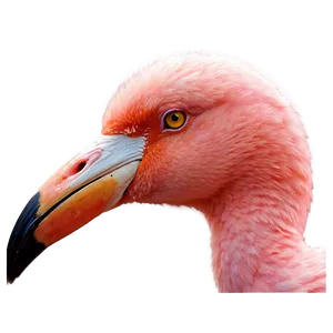 Gothic Flamingo Art PNG 05062024 PNG