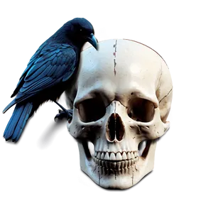 Gothic Raven And Skull Png 7 PNG image