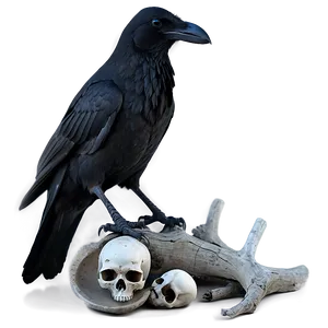 Gothic Raven And Skull Png Niq47 PNG image