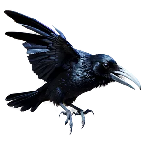 Gothic Raven PNG 82