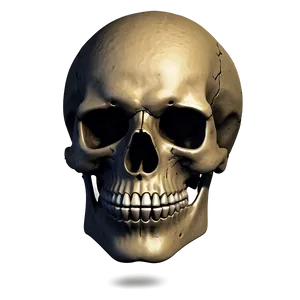 Gothic Skull Face Artwork Png 17 PNG image