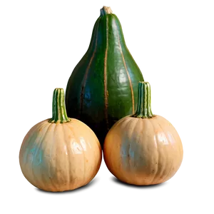 Gourd Arrangement PNG 06292024