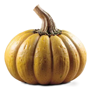 Gourd Arrangement PNG Qev