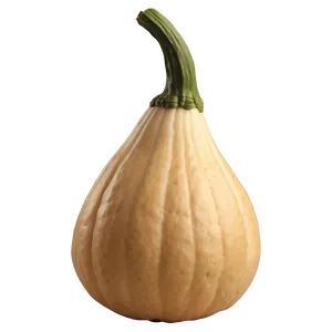 Gourd D PNG image