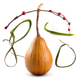 Gourd Display PNG Tdc51