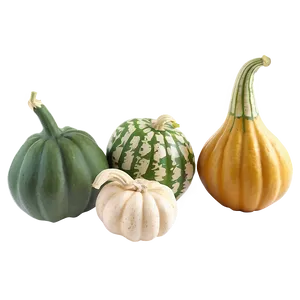 Gourd Garden PNG Cjp33 PNG