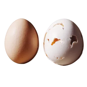 Gourmet Eggs PNG Gid