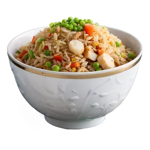Gourmet Fried Rice PNG 46