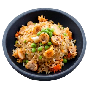 Gourmet Fried Rice PNG 78